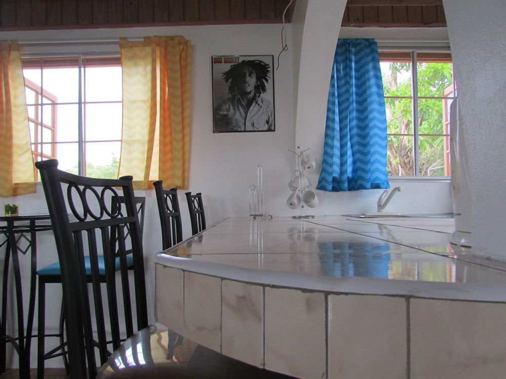 Ocho Rios Villa At Coolshade IV Бухта Св. Анны Экстерьер фото
