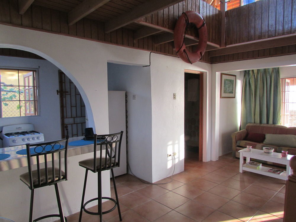 Ocho Rios Villa At Coolshade IV Бухта Св. Анны Экстерьер фото